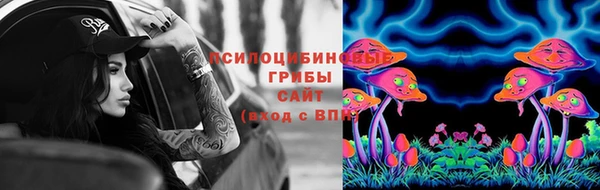 кокс Белокуриха