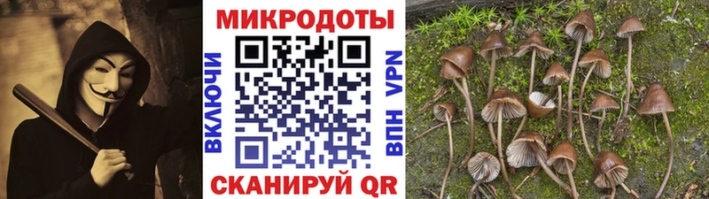 Галлюциногенные грибы ЛСД  Ачхой-Мартан 